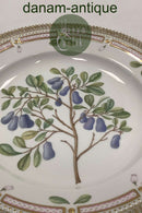 Royal Copenhagen Flora Danica Spisetallerken No. 624 ( 20 / 3549 )