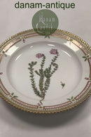 Royal Copenhagen Flora Danica Salat Tallerken No 20/3573