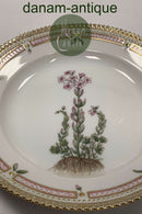 Royal Copenhagen Flora Danica Salat Tallerken No 20 / 3573