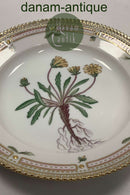 Royal Copenhagen Flora Danica Salat Tallerken No 20 / 3573