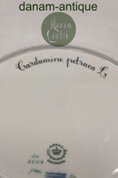 Royal Copenhagen Flora Danica Spisetallerken No. 624 ( 20 / 3549 )