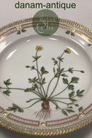 Royal Copenhagen Flora Danica Spisetallerken No. 624 ( 20 / 3549 )