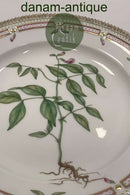 Royal Copenhagen Flora Danica Spisetallerken No. 624 ( 20 / 3549 )