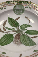 Royal Copenhagen Flora Danica Dyb Tallerken No 20/3546 eller 604
