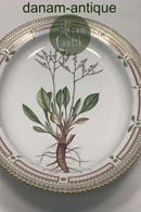 Royal Copenhagen Flora Danica Ovalt Serveringsfad No 3517