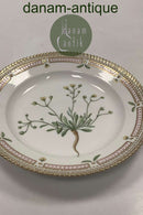 Royal Copenhagen Flora Danica Salat Tallerken No 20 / 3573