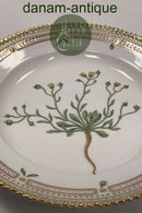 Royal Copenhagen Flora Danica Salat Tallerken No 20 / 3573