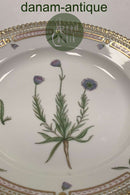 Royal Copenhagen Flora Danica Salat Tallerken No 20/3573