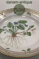 Royal Copenhagen Flora Danica Salat Tallerken No 20 / 3573