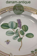Royal Copenhagen Flora Danica Salat Tallerken No 20 / 3573