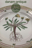 Royal Copenhagen Flora Danica Salat Tallerken No 20 / 3573