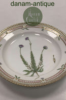 Royal Copenhagen Flora Danica Salad Plate No 20 / 3573