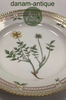 Royal Copenhagen Flora Danica Salat Tallerken No 20 / 3573