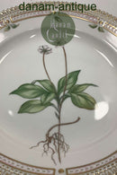 Royal Copenhagen Flora Danica Salat Tallerken No 20 / 3573