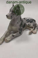 Bing og Grøndahl Figur af Stor Grand Danois Hund No 1773