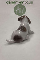 Royal Copenhagen Figur af Pointer Hvalp No. 1311