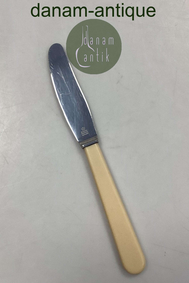 Raadvad Rustfri Spisekniv - 21,7 cm