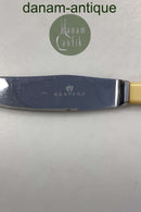 Raadvad Rustfri Spisekniv - 21 cm