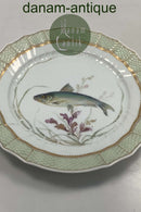 Royal Copenhagen Grøn Fisketallerken No 919/1710 med Clupea pilchcardus