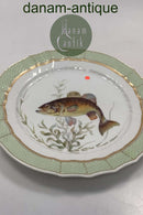 Royal Copenhagen Grøn Fisketallerken No 919/1710 med Micropterus salmonides