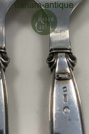 Cohr Fiske Serveringsbestik i Sølv / Stål