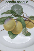 Royal Copenhagen Flora Danica Frugttallerken No. 429/3584.