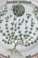 Tidlig Royal Copenhagen Flora Danica Spisetallerken No. 20 / 3549