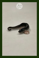 Royal Copenhagen Figur af Ålekvabbe No 462. Viviparous Blenny.