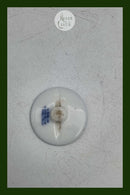 Royal Copenhagen Knap 1931