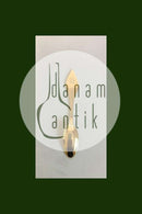 Anton Michelsen Christmas Spoon in gilded Sterling silver  2008