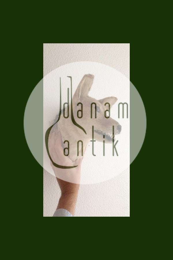 Udstoppet Sjakal Hoved