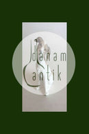 DAO Lladró 瓷质小猎犬模型