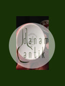 Porsgrund Norway Porcelains cup