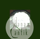 Bing & Grøndahl Art Nouveau Pietro Krohn Snake Cup and saucer