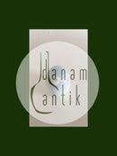 Bing &amp; Grondahl新艺术风格的菜单卡座。