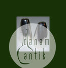 Georg Jensen Henning Koppel Salt og Peberbøsse i Sterling Sølv No 1102B