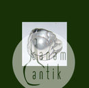 Georg Jensen Sterling Sølv Ring No 11A