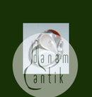 1933-1944年乔治-延森纯银戒指，带琥珀的老款，编号51