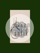 Georg Jensen Sterling Sølv Broche med 15 sten No 160