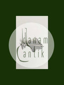 Georg Jensen Sterling Silber Brosche Nr. 317 unmarkiert