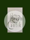 Georg Jensen Sterling Silber Brosche Nr. 305