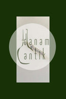 Georg Jensen Sterling Silver Slipsenål med Sort Onyx No 202