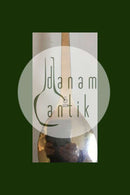 Georg Jensen Sterling Silber Magnolie Nr. 84 Serviergabel