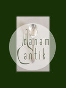 Georg Jensen Pyramid Sterling Silver Marmelade Spoon No 163