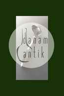 Georg Jensen Sterlingsilber Kaktus-Saucenlöffel Nr. 128