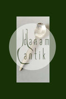 Georg Jensen Sterling Sølv Kaktus Bouillonske No 053