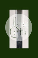 Georg Jensen Sterling Silver ピラミッド型トマトナイフ No 53