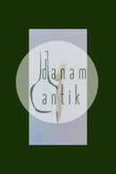 Georg Jensen Kaktus Vintage Stor Kagegaffel No 044