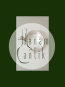 N.E. From Sterling Silver Bracelet with very nice Stone