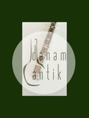 N.E. From Armbånd i Sterling Sølv med Tigerøje